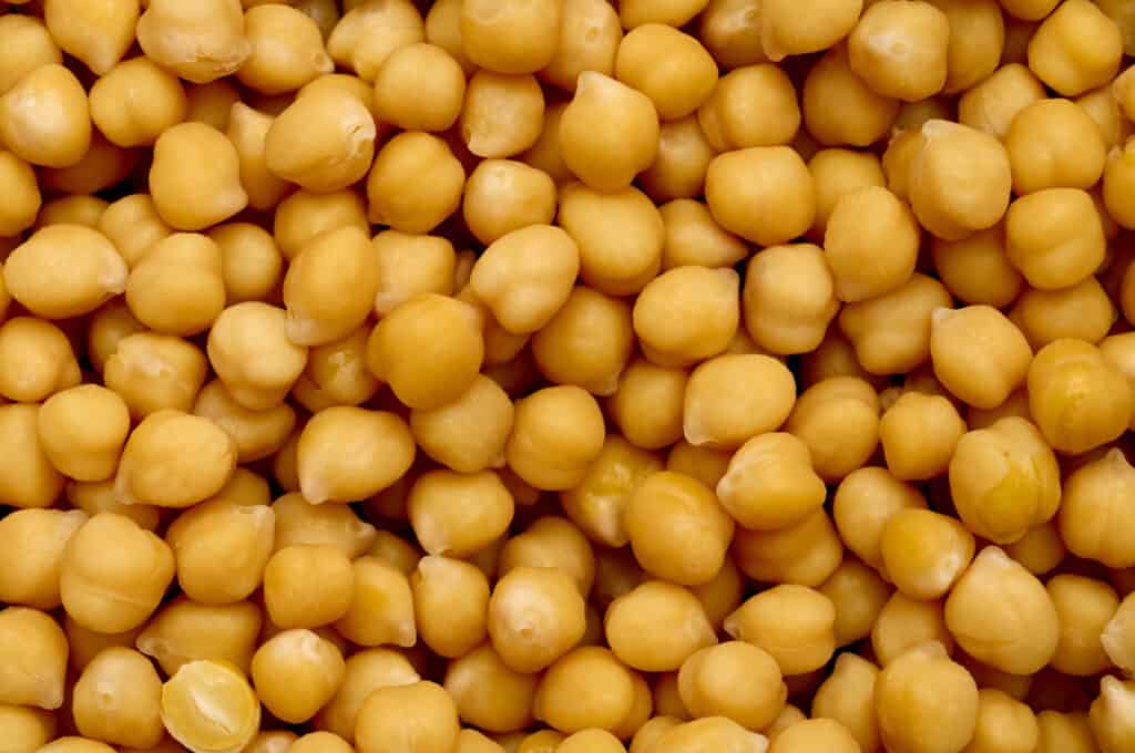 Chickpea