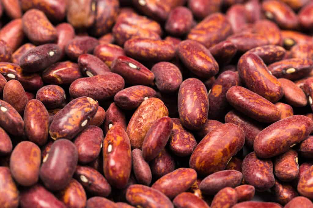 Kidney beans