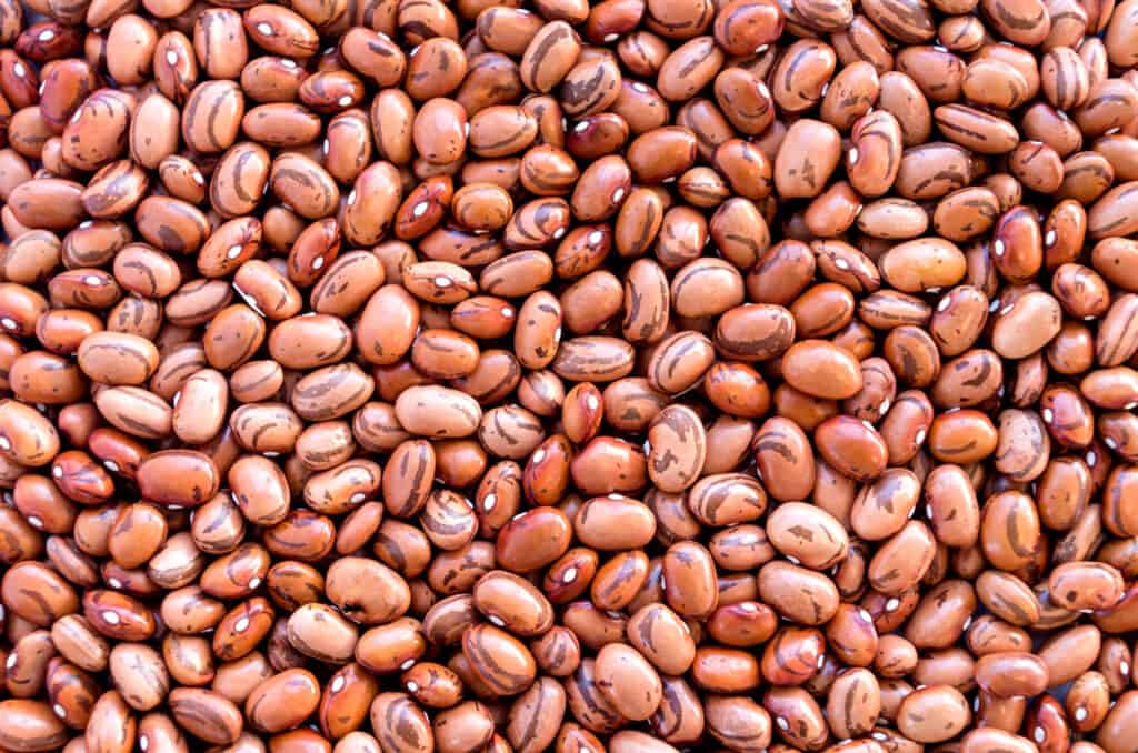 Pinto beans