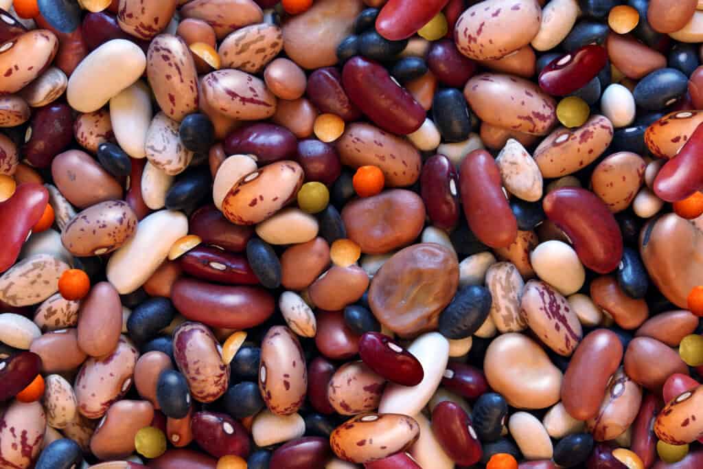 MIxed dry beans