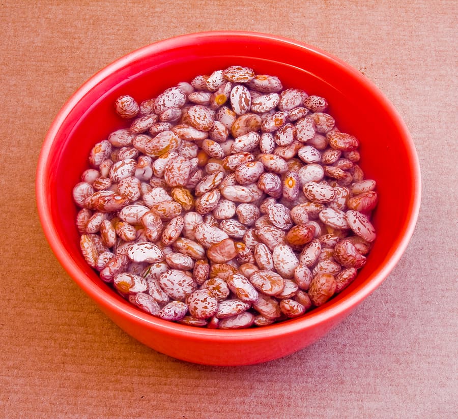 Beans dried soaking in water Beans dried soaking in water