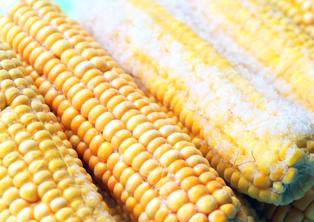 corn on cob frozen