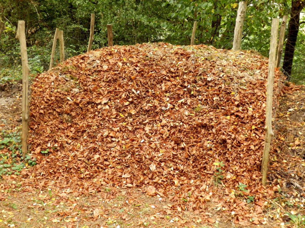 Leaf mulch