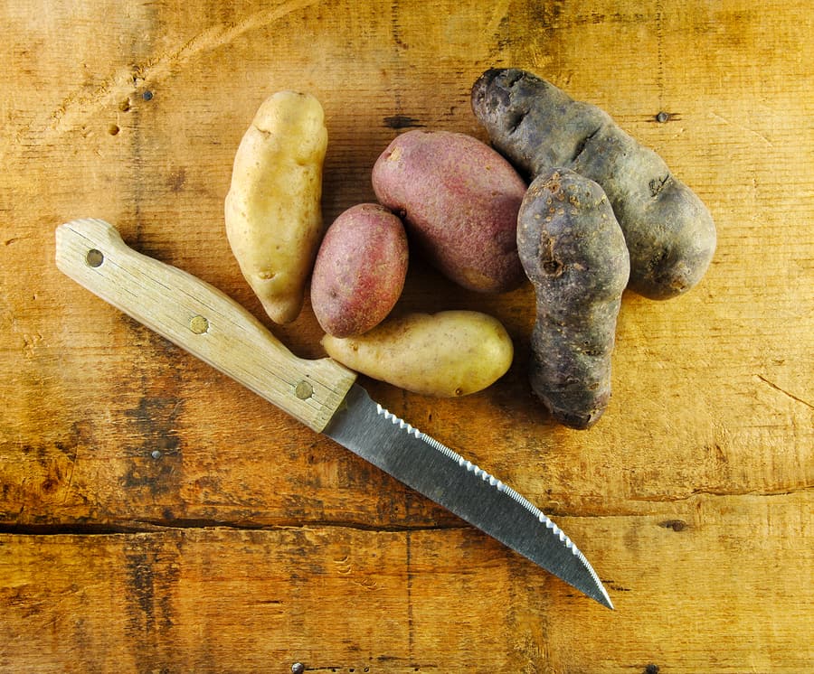 Harvest fingerling potatoes