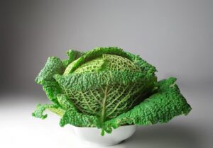 Savoy cabbage after harvest