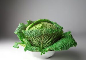 Savoy cabbage in kitchen