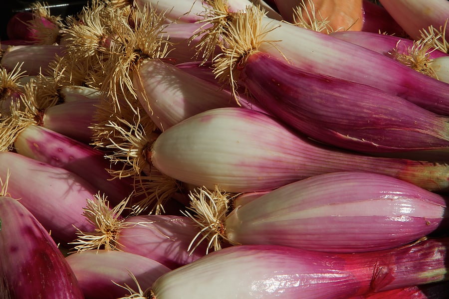 Torpedo onions