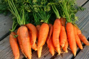 How to grow carrots in your garden.