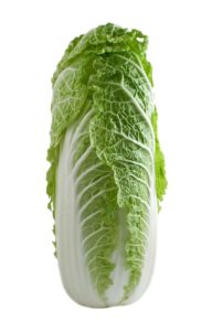 Chinese cabbage