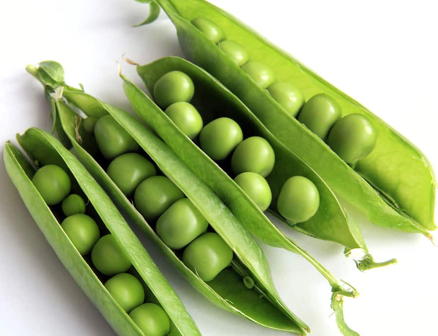 How To Plant And Grow Peas