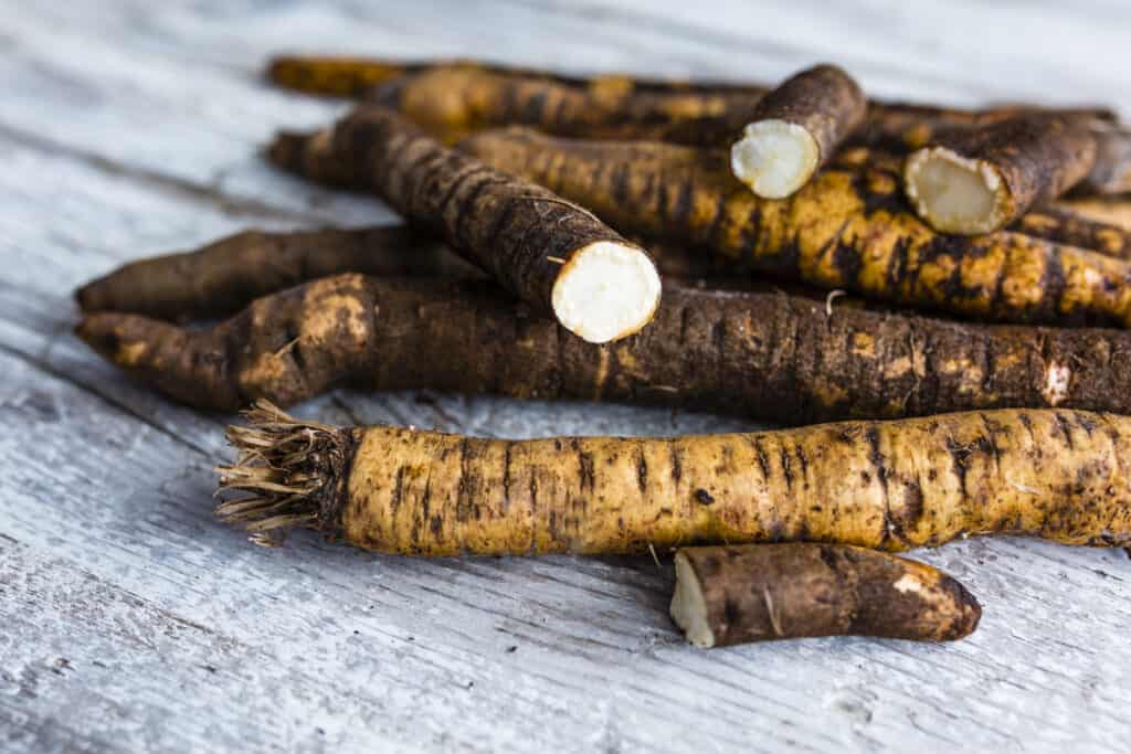 Salsify roots