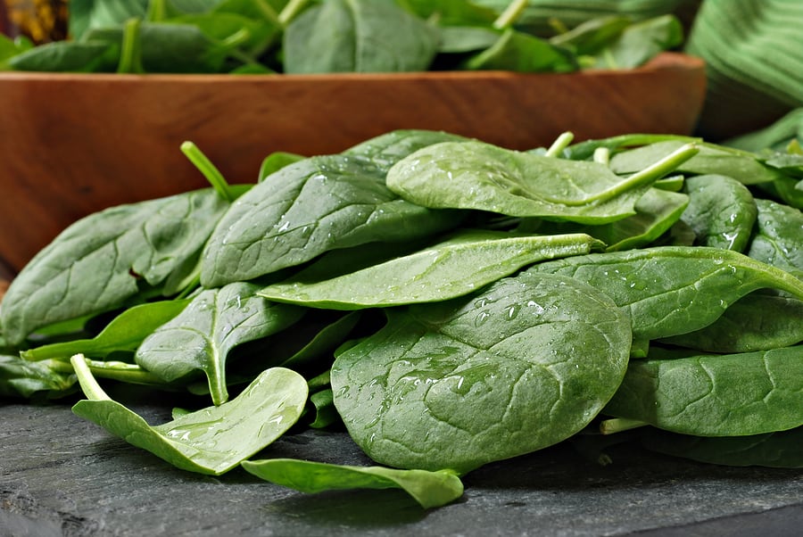 Spinach harvest