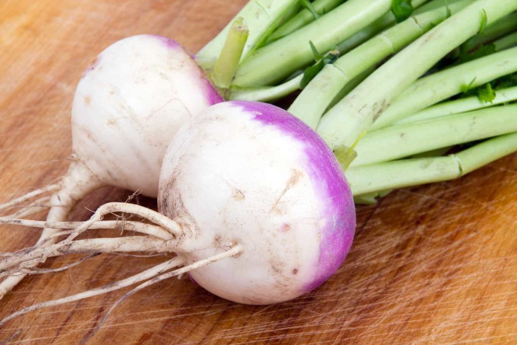 Turnip harvest