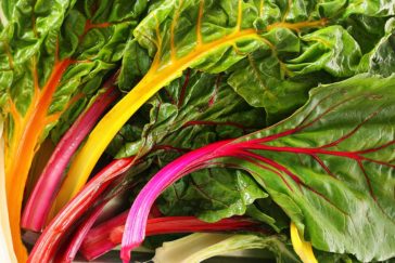 How to Plant and Grow Swiss Chard - Harvest to Table