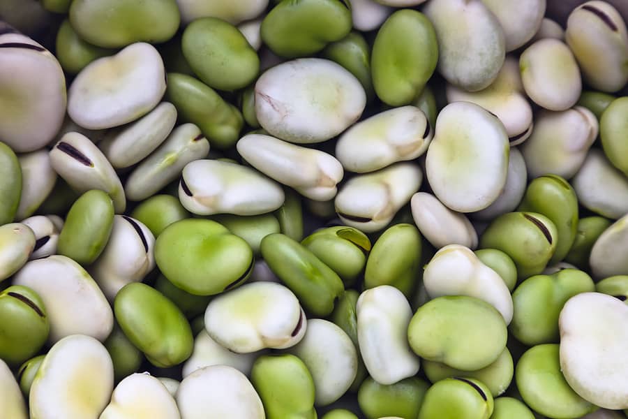 Lima beans in kitchen