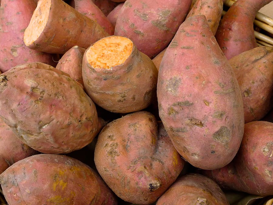 How to Plant, Grow, and Harvest Sweet Potatoes