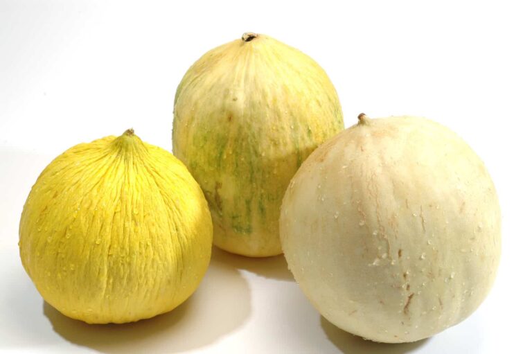 Winter melons