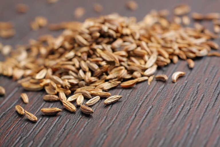 Caraway seeds1