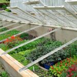 Cold frame sashes up1