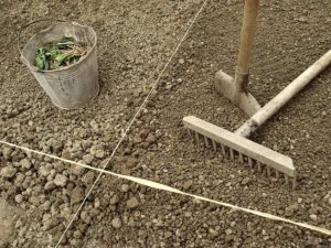 Garden bed planning Garden bed planning