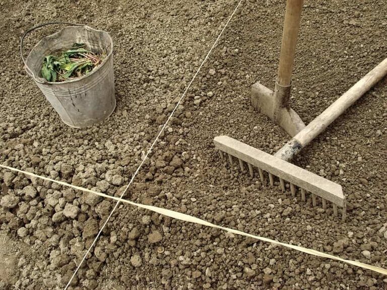 Garden bed planning1