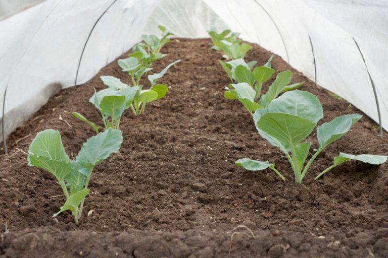 Plastic tunnel row cover