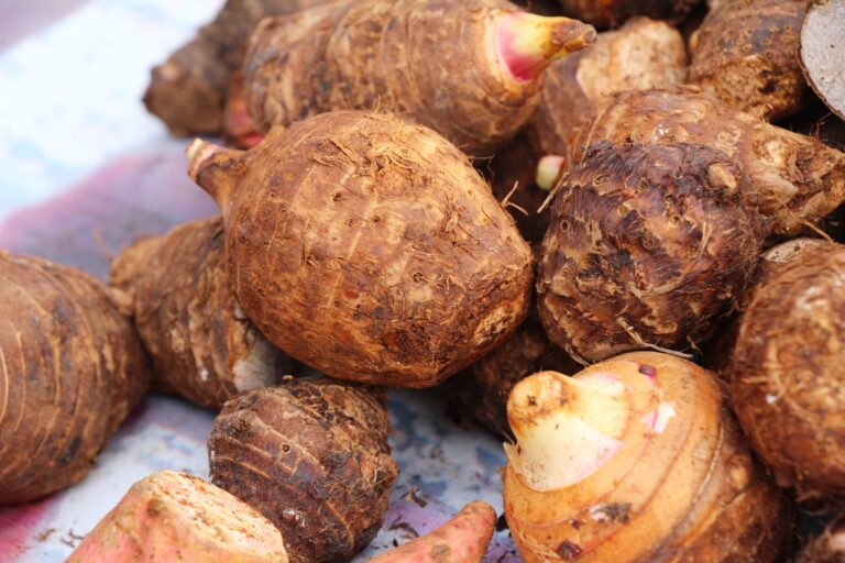 Taro tubers in the kitchen