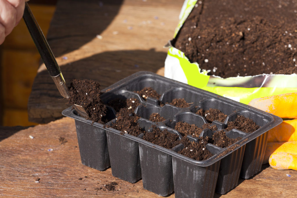 seed starting tray