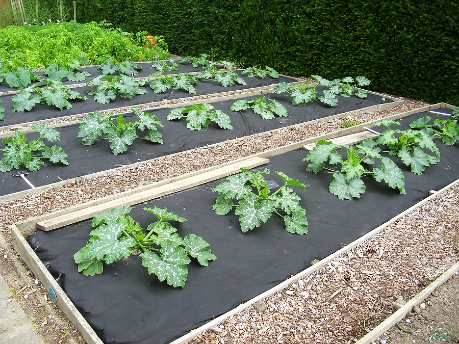 weed barrier fabric