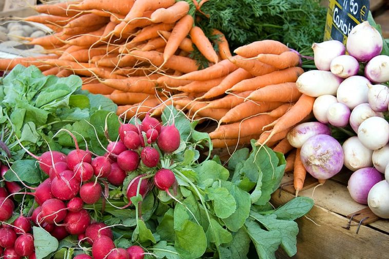 Vegetables for Fall Harvest - Harvest to Table