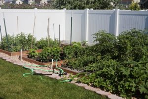 Garden beds warmed by reflected heat