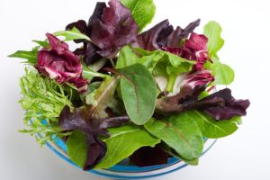 Mesclun salad