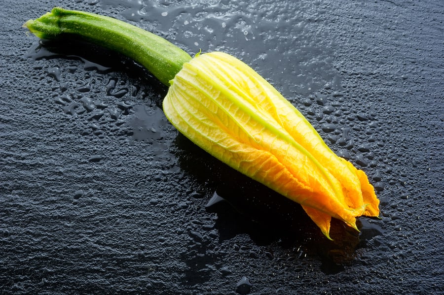 Female squash blossom