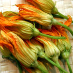 Squash blossoms