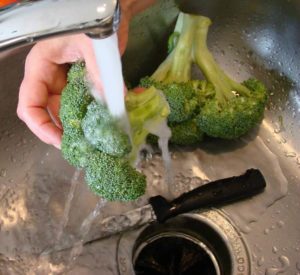 Broccoli preparation Broccoli florets just harvested