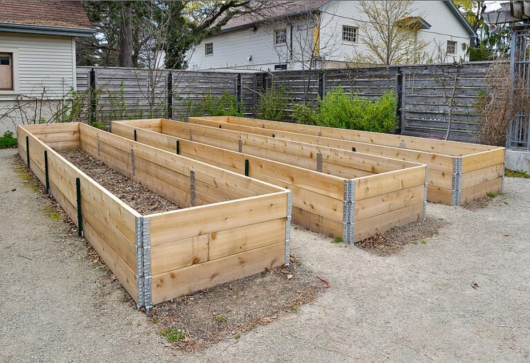 Raised beds