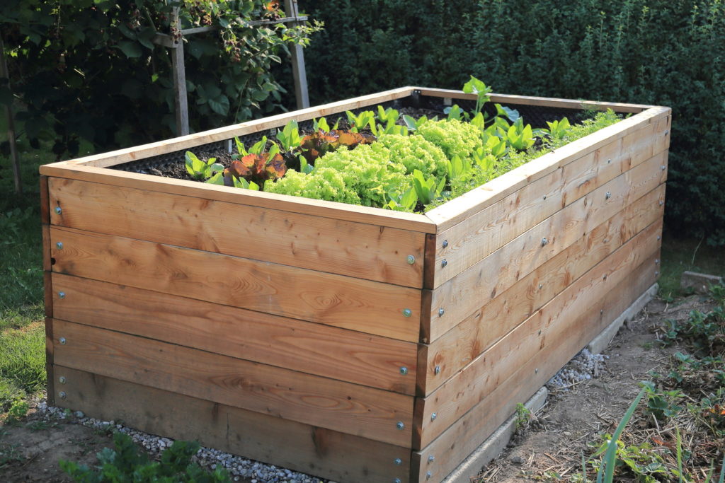 Tall raised beds