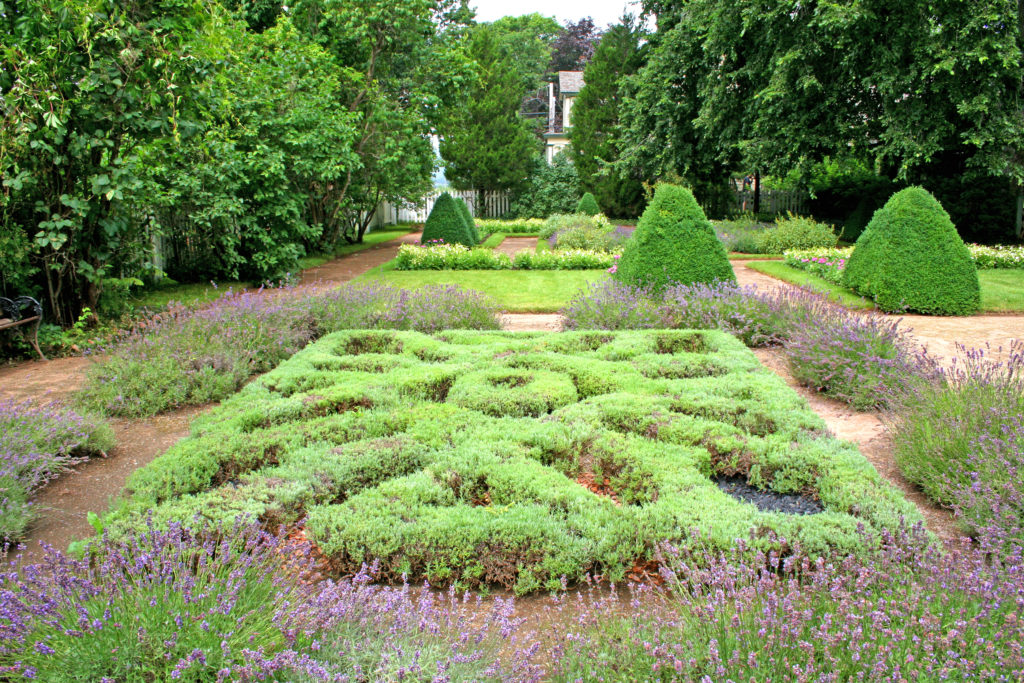 How To Start An Herb Garden