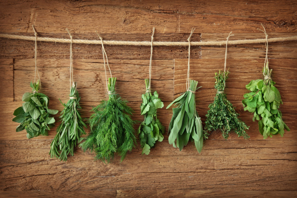 herbs drying