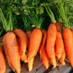 Carrots Nantes