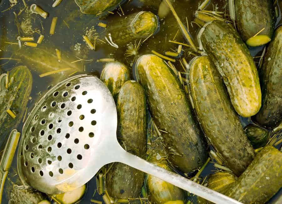 Dill pickles from cucumbers and dill sprigs