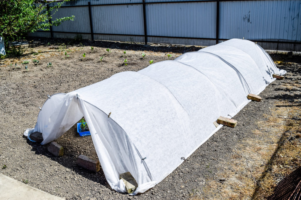 Row cover draped over a frame