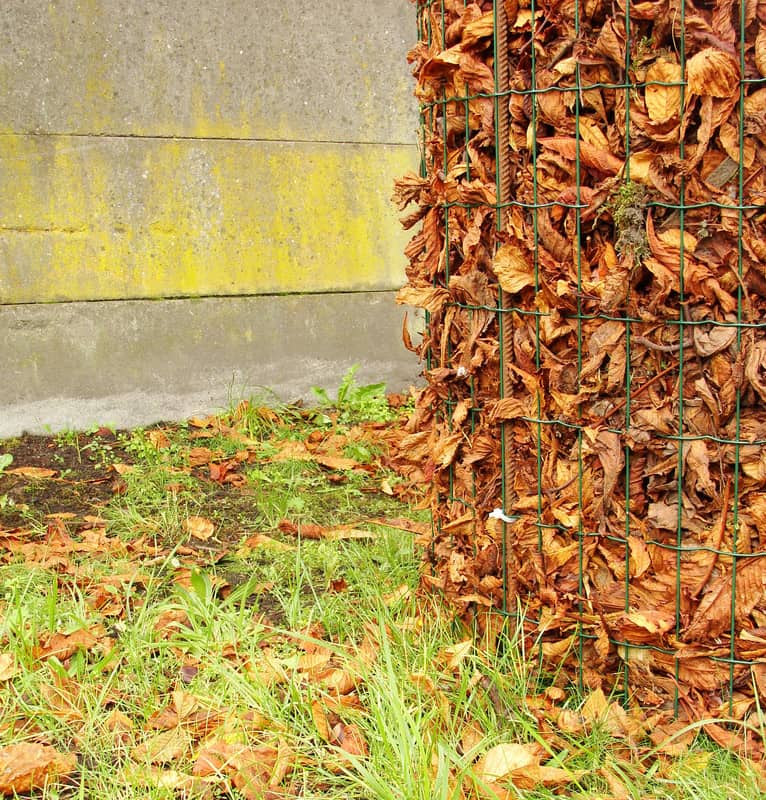 Leaves into leaf mold