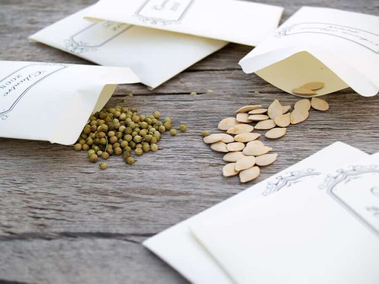 Seed packets