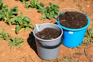 Compost sidedressing