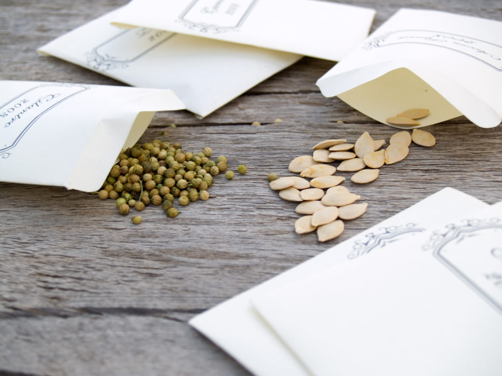 seeds and packets