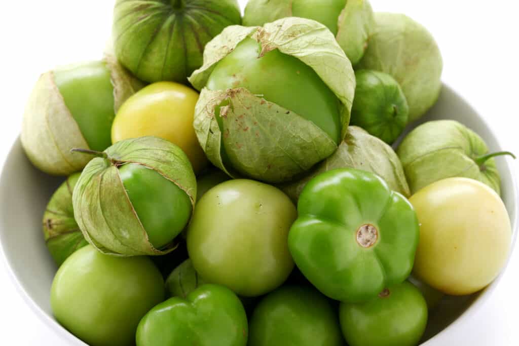 Tomatillo harvested