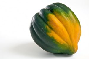 Acorn squash