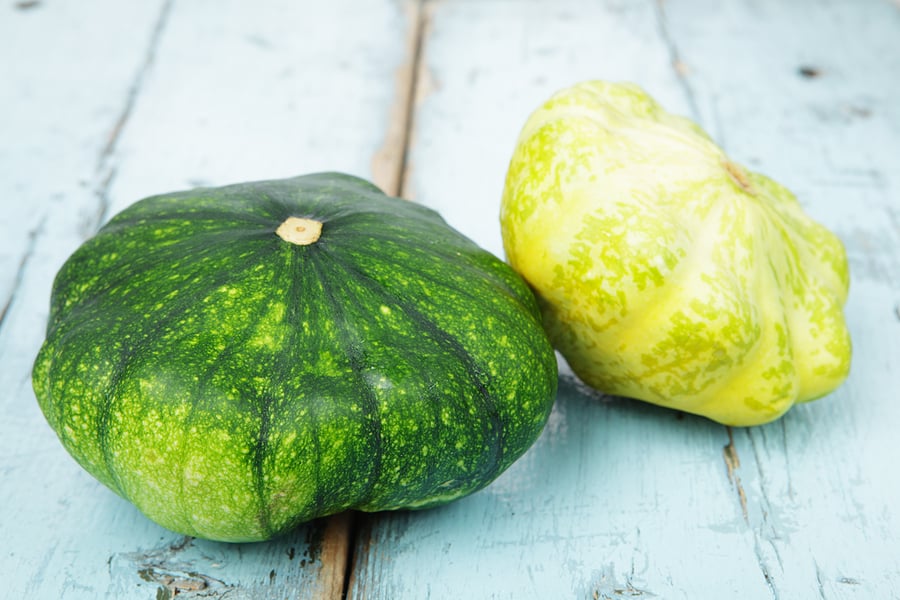 Pattypan summer squash