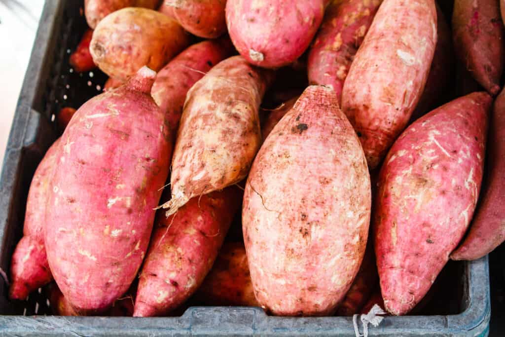 Sweet potato storage